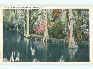 W-border MAGNOLIA GARDENS SCENE Charleston South Carolina SC AF7016