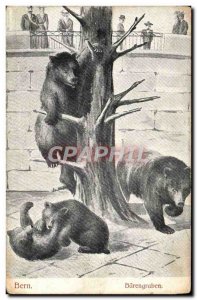 Old Postcard Bern Bear Barengraben