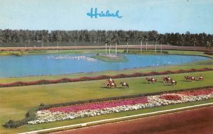 Parading On The Turf Hialeah Race Course Miami, Florida USA View Images 