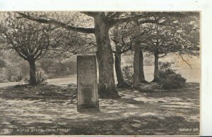 Hampshire Postcard - Rufus Stone - New Forest - Ref 11781A