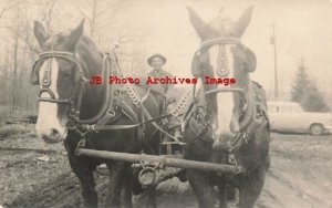 Unknown Location, Photo, Logging Sleigh? Farm Horses?