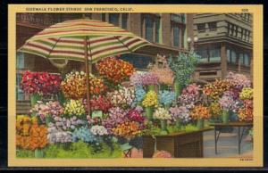 California, San Francisco