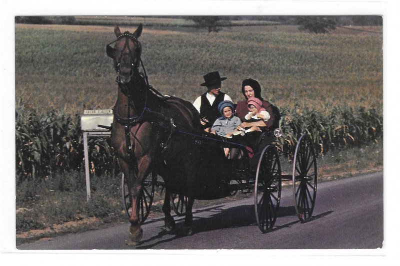 Amish family Open Horse and Buggy Pennsylvania Dutch Country Vintage Postcard