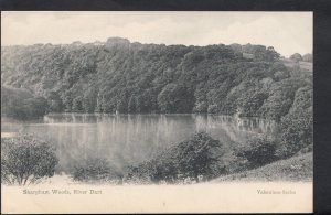 Devon Postcard - Sharpham Woods, River Dart    RS4012
