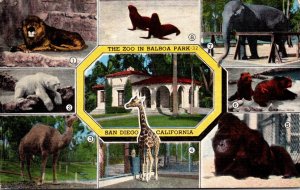 California San Diego The Zoo In Balboa Park Multi View