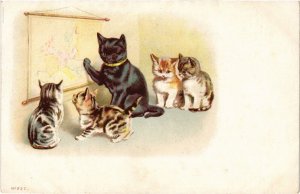 PC CATS, FIVE CATS READING A MAP OF EUROPE, Vintage LITHO Postcard (b46611)