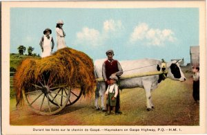 Haymakers on Gaspe Highway Quebec Ox Cart Vintage Postcard S16 