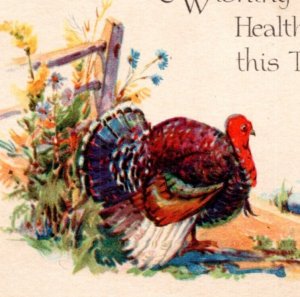 Postcard Thanksgiving Greetings - Gibson Lines - turkeys and pumpkin