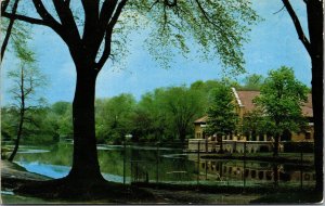 Vtg Albany New York NY Pavilion in Washington Park 1950s Chrome View Postcard