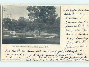 Pre-1907 PARK SCENE Adirondacks - Clifton Springs New York NY hp9702