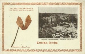 Postcard C-1910 Palestine Israel Jerusalem Christmas 22-13204