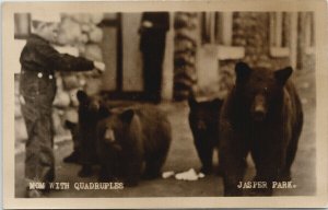 Jasper Park Alberta Black Bears Cubs Unused JA Weiss RPPC Postcard G84