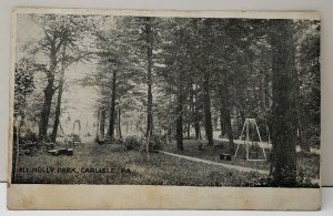 Carlisle Pa Mt Holly Park Swings Bench Pub by Imperial Dry Goods Co Postcard F8