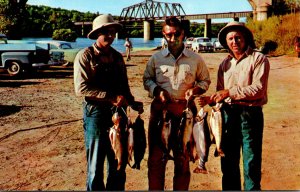 Fishing Nice Catch Of Rainbow Trout On White River Below Shoals Dam In The Ar...