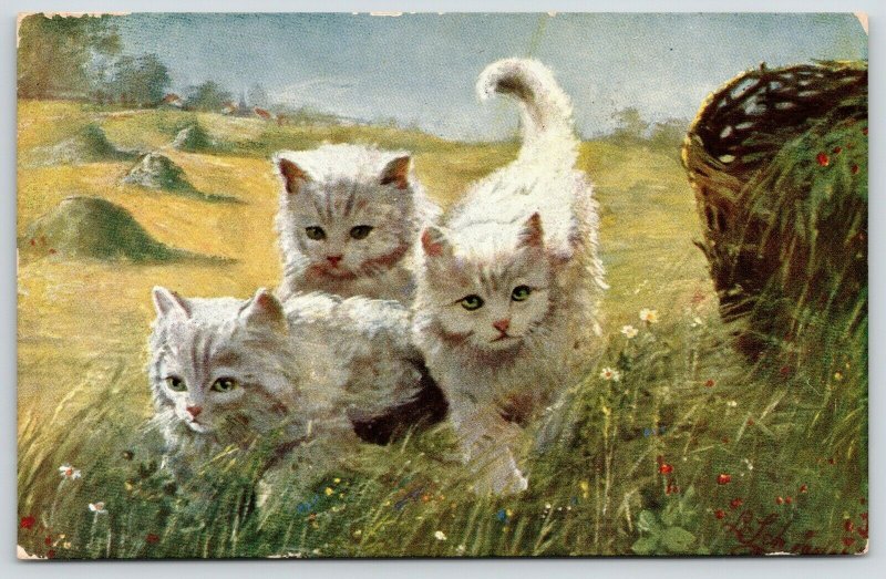 Cats~Green-Eyed White Kittens on the Prowl~Daisy Meadow~Hay Mounds~Artist~1908 