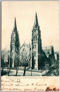 1907 Catholic Cathedral of Immaculate Conception Albany New York Posted Postcard