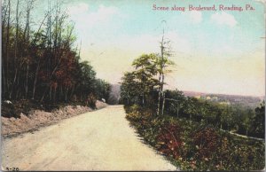 Scene along Boulevard Reading Pennsylvania Vintage Postcard  C101