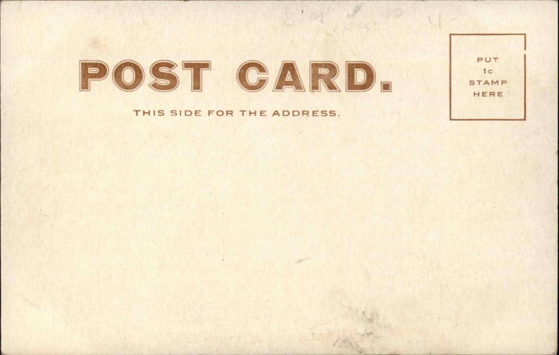 Wilmington Delaware DE No. 24 School Gothic Architecture c1910 Vintage Postcard