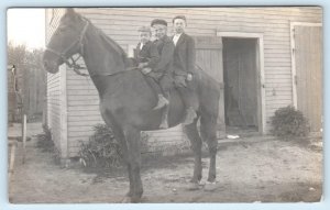 RPPC Unknown Location? THREE LITTLE BOYS atop a BIG HORSE 1910s Postcard