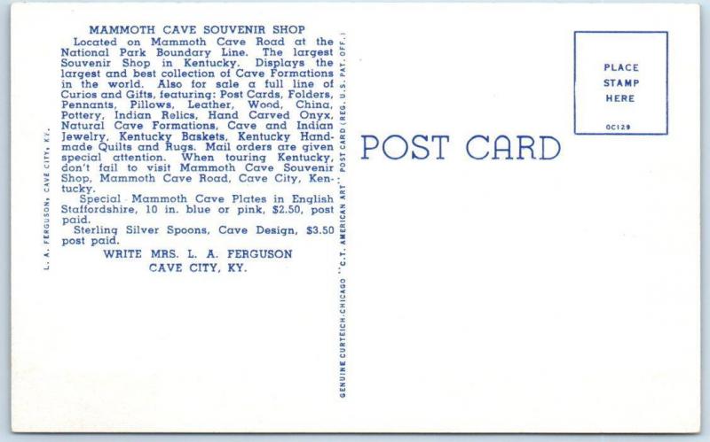 CAVE CITY, Kentucky  KY  Roadside MAMMOTH CAVE SOUVENIR SHOP  Postcard