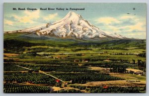 Oregon Postcard -  Mt. Hood  Hood River Valley in Foreground