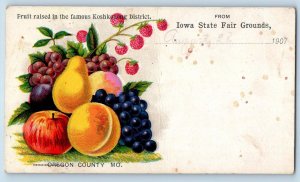 Des Moines Iowa IA Postcard Fruit Raised In Famous Koshkonong District c1905's