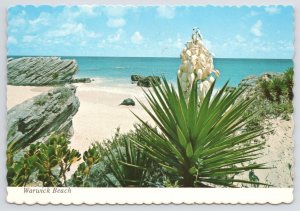 Beautiful Sunshining Scene~Warwick Beach~South Shores Of Bermuda~Continental PC