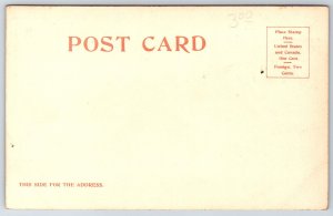 Detroit Pub~Native Americana~Making Drawn Work Weaving Scene~Vintage Postcard