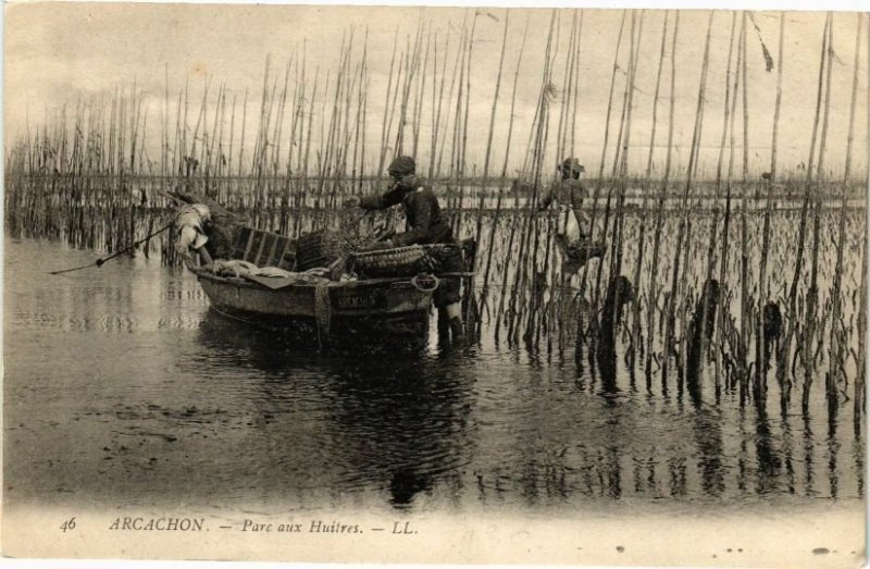 CPA ARCACHON-Parc aux Huitres (27686)