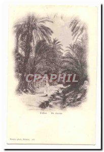 Morocco Old Postcard Biskra One way (palm precursor map)