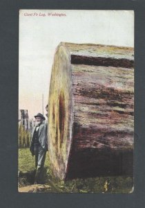 Post Card 1911 Seattle WA Giant Fir Log About 12' In Diameter