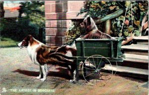 Latest In DOG CARTS Collie & Terrier ca1910's TUCK Pets & Puppies 4404 Postcard