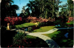 Floridas Cypress Gardens Tropical Flowers Framed Cypress Trees Pond Postcard 