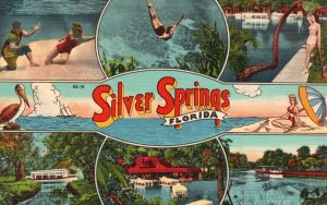 Vintage Postcard 1953 Multi View of Famous Places in Silver Springs Florida FL