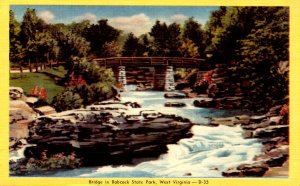 WV - Babcock State Park. Bridge