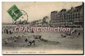 Old Postcard Cabourg The Beach at low tide