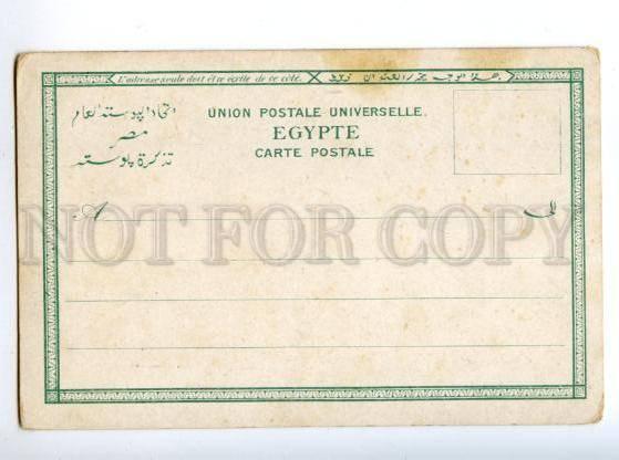 147227 EGYPT ALEXANDRIE Vintage litho undivided back postcard