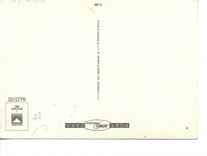 Two cats Nice modern English photo postcard