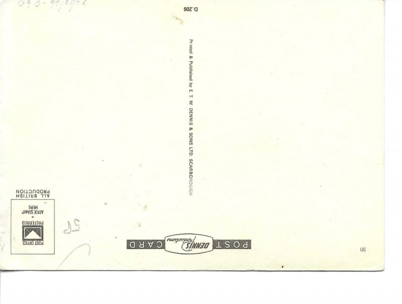 Two cats Nice modern English photo postcard