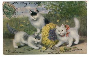 Black, Grey and White Cats  Outside, Used 1907