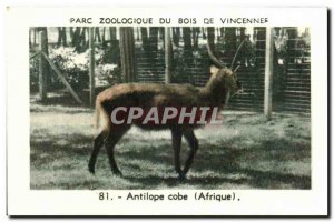 Image Zoo de Vincennes wood waterbuck antelope africa