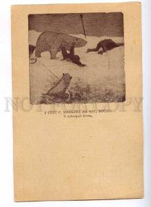 189831 POLAR EXPLORATION Bear NANSEN Advertising ZLATA PRAHA