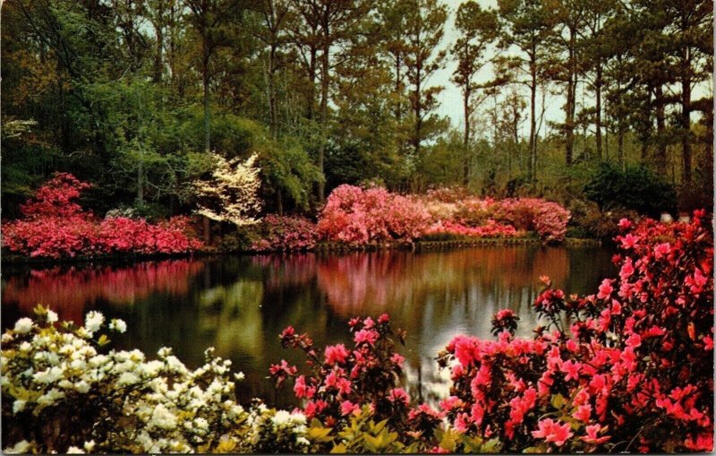 Bellingrath Gardens Mobile Alabama AL Mirror Lake Postcard PM Cancel WOB Note  