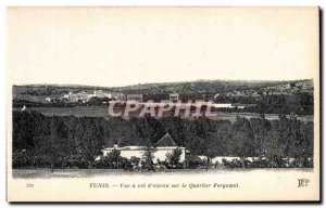 Old Postcard Tunisia Tunis Vue Flight of Bird Neighborhood Forgemol