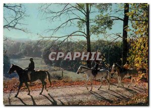 Postcard Modern Equestrian Walk in Limousin