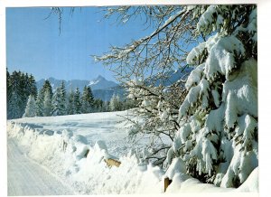 Winter Mountain, Flims, Switzerland