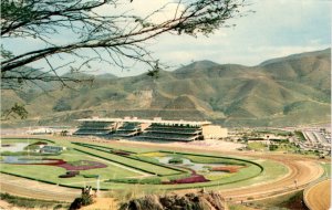 Hipódromo La Rinconada, Caracas, Venezuela, Barbados, Trinidad, Postcard