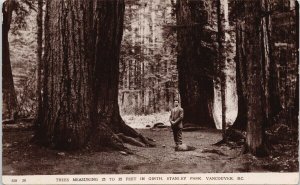 Stanley Park Vancouver BC Huge Trees Man Unused Real Photo Postcard E82