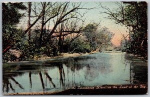 Vtg North Carolina NC On The Swannanoa River in Land of the Sky 1910s Postcard