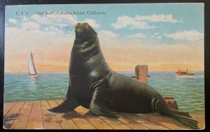 Vintage Postcard 1922 Od Ben:, Catalina Island, California (CA)